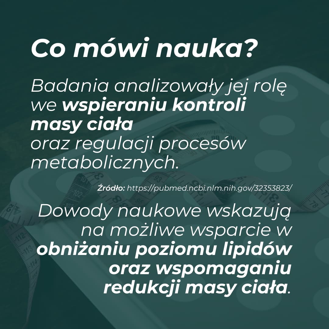 Berberyna Suplement - Image 6