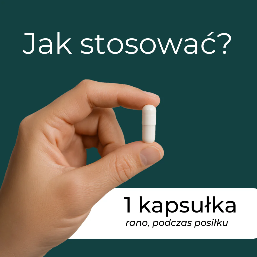 Berberyna Suplement - Image 7